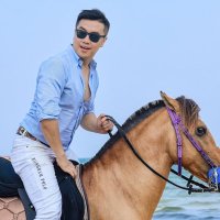 Zeus.AI (@zeusglobalx) 's Twitter Profile