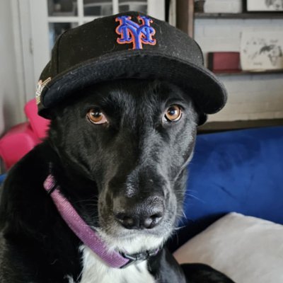 Johntbrown_org's profile picture. Award-winning social media fanatic. Devoted @Mets Fan. eCommerce enthusiast. Passionate about innovative products & technologies