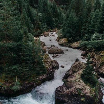 pTao100's profile picture. 