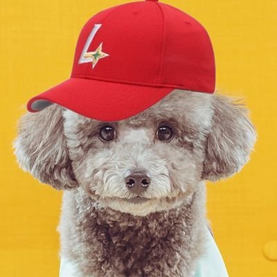 ssg_AsAs's profile picture. 투수콤인데요, 근데 타자도 응원해요. 아니 랜더스 자체가 좋아요🌟