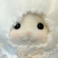 のの@中野レッドリボン (@mogu_rr_) 's Twitter Profile