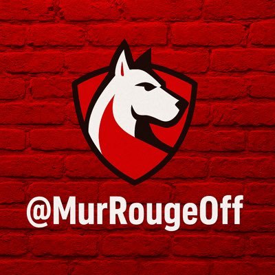 On chante, on gueule, on rêve. Porte-parole non officiel du peuple Dogue. Stade Pierre-Mauroy – Bloc Twitter. #WeAreLOSC