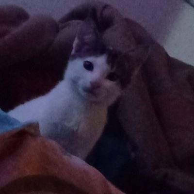 JimmyMolina91 Profile Picture