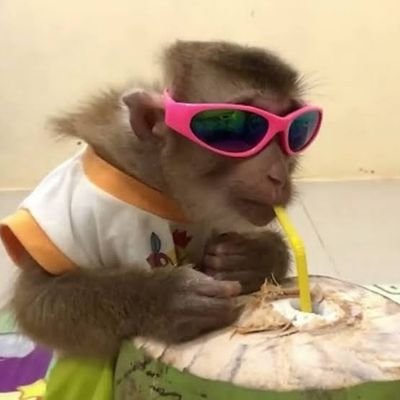 ladebridgadeiro's profile picture. todo tranqui ⋆｡𖦹°⭒˚｡⋆
 ingles/esp/ port. maybe

🍭🍥🍡🎠🇲🇽🇺🇲