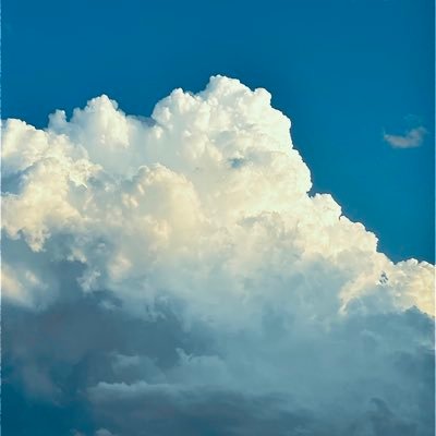 とうの昔に成人済みのオタク。隠居レイヤー。審神者。鶴雀が熱い。くる民。犬派。スンスンが大好き。さよならの際はブロ解をお願いします。