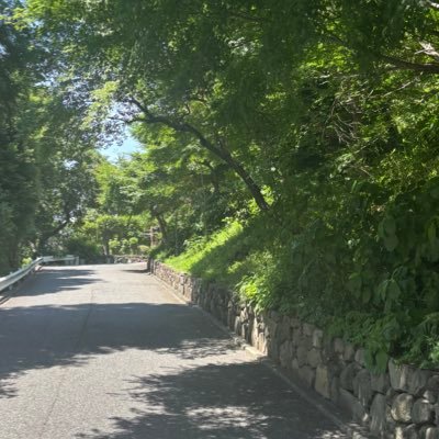 25↑ / 主にJ界隈 / 相場理解 / 取引多数