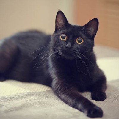 meoden370's profile picture. 