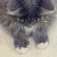 ぼ⃞ う⃞ た⃞ ん⃞ (@btn___6) 's Twitter Profile Photo