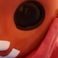 Shellbunny (@shellbunny49673) 's Twitter Profile