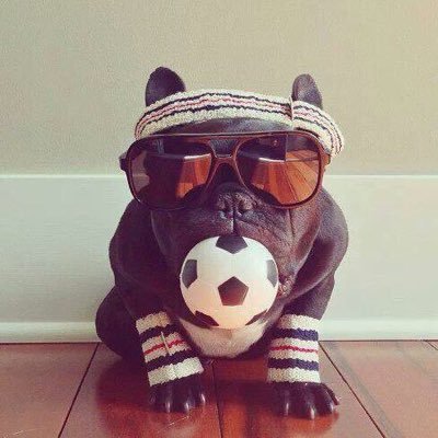 rafiki46665's profile picture. Hunter, MTB'er, dreamer, dog lover, braaier and 100% African. Who dares, wins