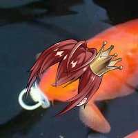 Shouyou Elric (@shouyouelric) Twitter profile photo