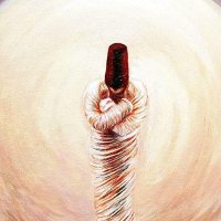 DarVesh دٍروٴیش (@the_darvesh) 's Twitter Profile