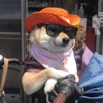 ZhuoChen08080's profile picture. 