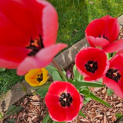 gonecountry1969's profile picture. The country sounds good to me.