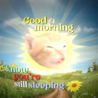 tvrbodani's profile picture. ༼ °👅 ͡°༽