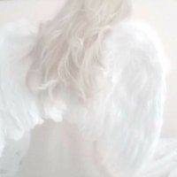 anne (@anne_wlx) 's Twitter Profile