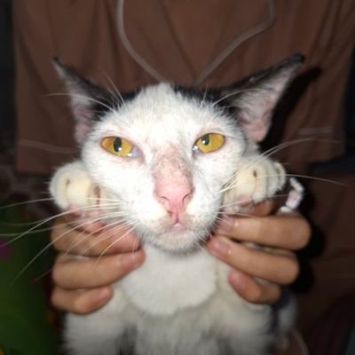 31mgtarrr's profile picture. akan ku buktikan yang dibuang belum tentu menjadi sampah