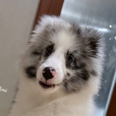 Tadathong_'s profile picture. 🐢 6CODE 🏀
#บาสเด็กอ้วนที่แท้จริง #Maxky_rp #แม็กกี้บาส #6CODE