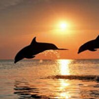 Eugenia (@eugober) 's Twitter Profile