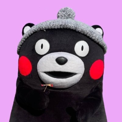 Gwenzelie's profile picture. 熊本県公式キャラクター,熊本の魅力と文化を発信します
好きならフォローしてくれます!❗️