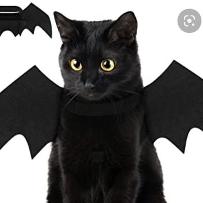 AsiaCoppola2's profile picture. 