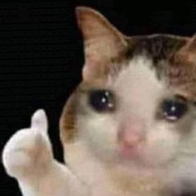 mhoncho50's profile picture. 