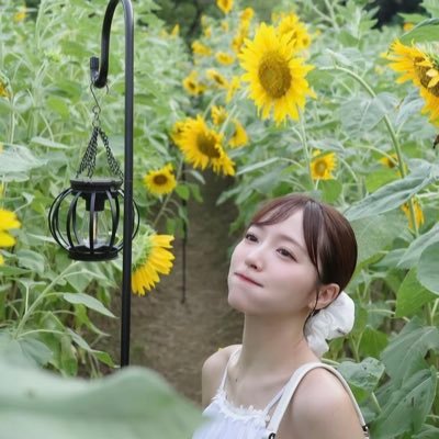 ひまわりこ12 on X