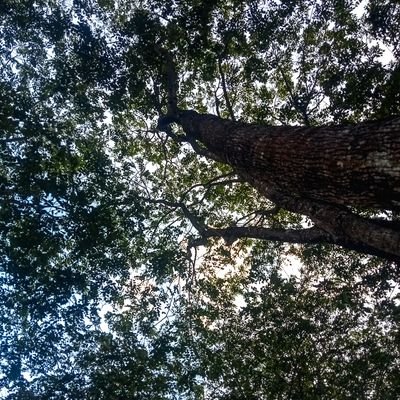 Perseph0ne33's profile picture. i like the omniscient third person point of view^^