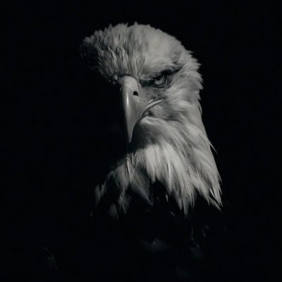 bamidele242006's profile picture. 