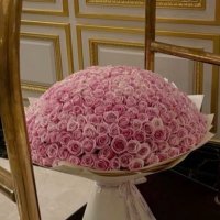 Len (@lll7nl) Twitter profile photo