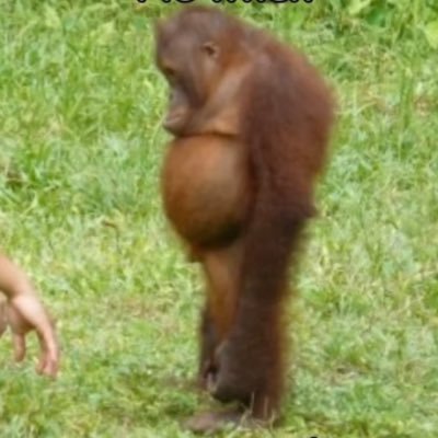 bboopz_'s profile picture. 