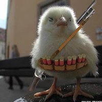 CHICKENATOR_93 (@h8mochickenator) 's Twitter Profile