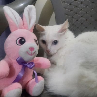 Hanieya_'s profile picture. In search of my destiny