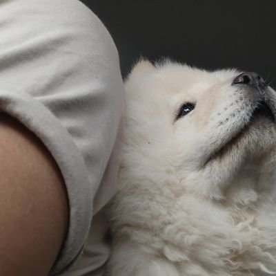 momo_hoer's profile picture. Advocate