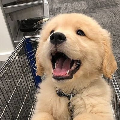 bimnilawan's profile picture. 