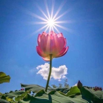 snoopAloop24's profile picture. ⚡️⚡️⚡️⚡️