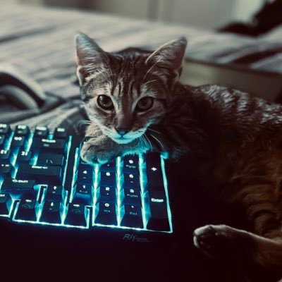 YourAkompliss's profile picture. 27; i drug cats & dogs for money; tryin’ to talk to cool people, not be your fan;  taken ྀི