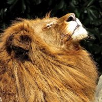 Victoria Summer (@80smagicforever) 's Twitter Profile