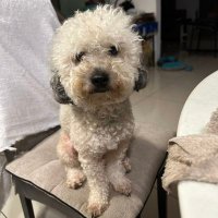 Barton (@bartonm507) 's Twitter Profile