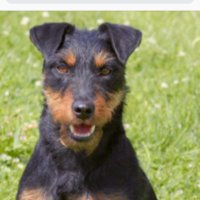 Achim (@achimwiehl1949) 's Twitter Profile Photo Achim (@achimwiehl1949) 's Twitter Profile Photo