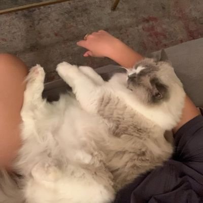 EzaguiMali86446's profile picture. 