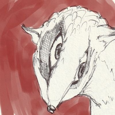 DoctorMango Profile