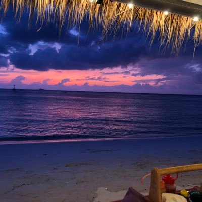 MJVK81's profile picture. 