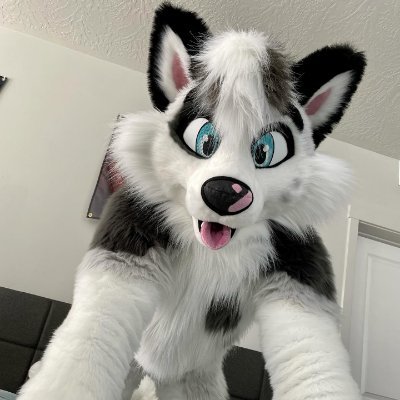 stellazoey_1's profile picture. 