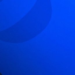 nyannearnia's profile picture. 本体:@nianearnyan