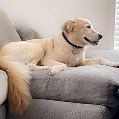 GM7250's profile picture. The true cost of anything is the amount of your life you give for it!