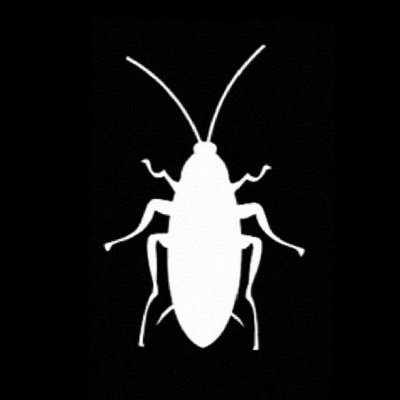 Mindful Matterz. Creekside Crowdsurfer. Save The Roach. Make Music Live Zen.