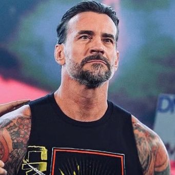 The tattoos only represent a milestone of everything I’ve accomplished. There’s still more to be done. ➙ parody account only of @CMPunk.