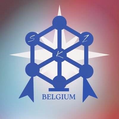 STRAY KIDS BELGIUM🇧🇪さんのプロフィール画像