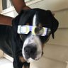 aptoskent's profile picture. Engineer at @aptoslabs.
